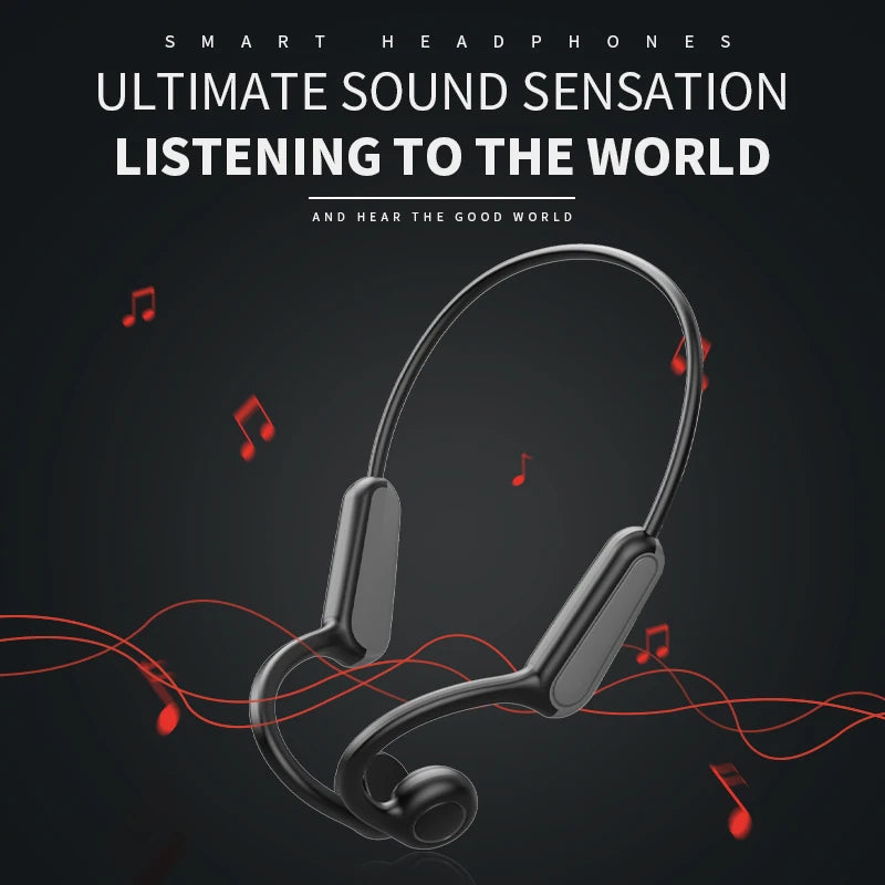 Straydan AeroBone Headphones